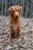 Magnum DSC_0447.JPG