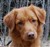 Magnum DSC_04471.JPG