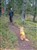 december 2008 013.JPG